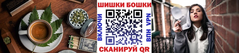 где можно купить   Новосокольники  Cannafood конопля 