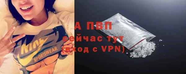 ECSTASY Гусев