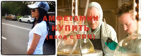 сатива Горняк