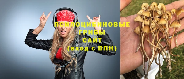 сатива Горняк